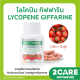 (ส่งฟรี) ไลโคปีน กิฟฟารีน LYCOPENE GIFFARINE สารสกัดจากมะเขือเทศ