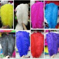 Wholesale 20pcs Feather 16-18inch/40-45cm Diy Performance Wedding