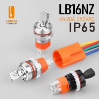 ◊♤๑ LANBOO 16mm waterproof high current metal button Toggle switch with LED blue wave factory direct sales with indicator 5-24V