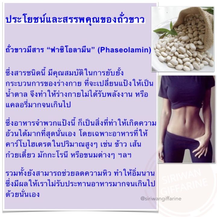 ส่งฟรี-กิฟฟารีน-บล็อค-โฟร์-สลิม-giffarine-block-4-slimm-ลดพุง-ลดน้ำหนัก-บล็อกแป้ง-น้ำตาล-ไขมัน-ลดการดูดซึมแป้งและน้ำตาล-สารสกัดจากถั่วขาว-60-แคปซูล