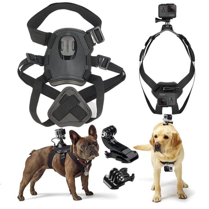 gopro camera for pets