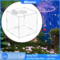 Miusue กล่องแยกตู้ปลาตัวจ่ายน้ำใสสำหรับ10x10x10cm ปลาลูกกุ้ง