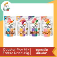 DOGSTER PLAY MIX – Freeze Dried Treats &amp; Toppers for Dogs 40g.