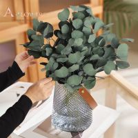 50g Real Eucalyptus Apple Leaf Party Wedding Decoration Natural Dried Flowers Bouquet Boho Home Decor Fragrant Living Room Decor