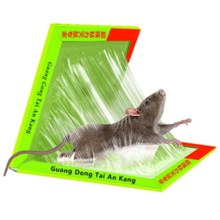 Pc Sticky Rat Board Mouse Rat Sticky Glue Trap Super Glue Safe Trapper Boards For Pest