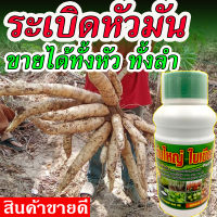 ?สูตรเข้มข้น? ปุ๋ยมันสำปะลัง 500 ซีซี ฮอร์โมนระเบิดหัว เร่งแป้ง มันสำปะหลัง ปุ๋ยฉีดมัน ปุ๋ยเร่งรวงข้าว  ปุ๋ยใส่มันหัวใหญ่ ปุ๋ยมันสําปะหลังเร่งหัว ระเบิดหัวมัน ปุ๋ยสำหรับมันสำปะหลัง ปุ๋ยมันหัวใหญ่ ปุ๋ยฉีดทางใบมันสําปะหลัง ปลอดสารพิษ100 %