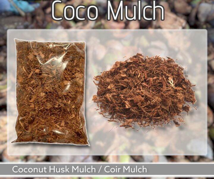 Coco Mulch 250g Organic Coconut Husk (Coir) Mulch perfect for growing