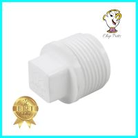 ปลั๊กอุดเกลียวนอก ท่อน้ำไทย 1 นิ้ว สีขาวMPT END CAP THAI PIPE 1IN WHITE **ลดราคาจัดหนัก **