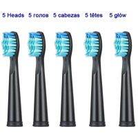 Rechargeable Tooth Brush Heads for Seago Sonic Electric Toothbrush SG-503/507/513/575/551Compatible with Fairwill FW-507/551/515