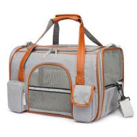 ☁ High-capacity Bags Portable Dog Cat Mesh Breathable For Small Dogs Foldable Cats Handbag Travel Pet Transport Bag