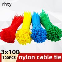 Self-Locking Nylon Wire Cable Zip Ties Cable Ties White Black Organiser Fasten Cable 100pcs/bag Color 2.5mmx100mm 2.5mm*100mm Cable Management
