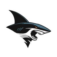 Shark Car Decal Shark Fish Decal Sticker Shark Car Decal for Bike Luggage Bumper Truck Motorcycle Water Bottle Computer comfy