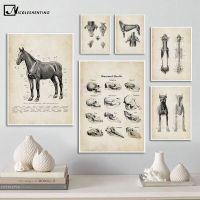 Dog Horse Animal Anatomy Poster Vintage Skeleton Skull Medical Painting Canvas Fabric Print Wall Art Picture Student Room Decor Wall Décor