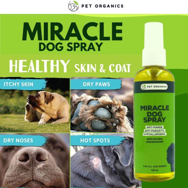 Miracle Dog Spray 100ml antimange antiparasitic antiitch