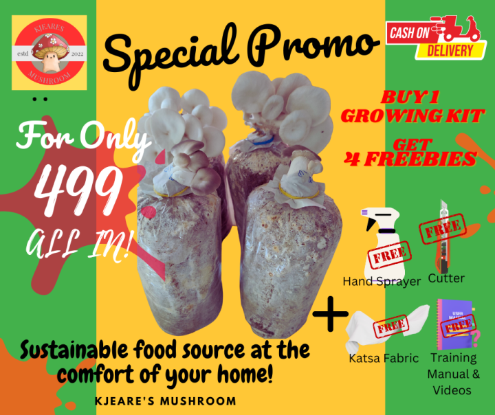 mushroom Fruiting Bags Starter Kit Lazada PH