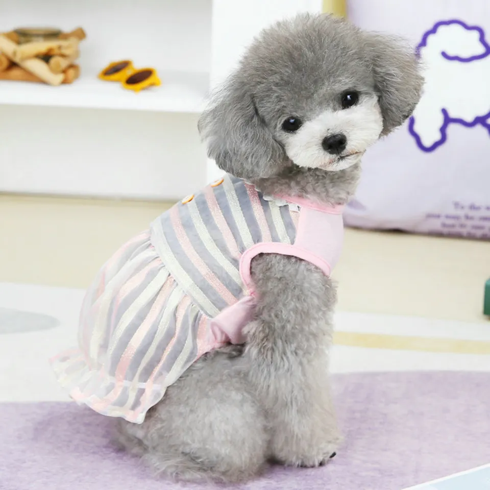 Áo cho chó mèo Đồng phục giao hàng BAE MIN Cutepets - Pet shop & Grooming  Spa Thú cưng Hà Nội