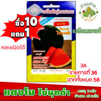 (ซื้อ10แถม1) เมล็ดพันธุ์ แตงโม ไข่มุกดำ Watermelon ประมาณ 40เมล็ด 3A สามเอ แตงโมดำ ผักสวนครัว เมล็ดพันธุ์พืช เมล็ดผัก เม็ดผัก พืชผัก