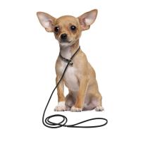 Leather Pet Collar Half P Chain Training Dog Leash Pet Walking Leashes Large Dog Husky Akita Puppy Training Collar Chihuahua Pug