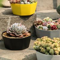 1 Set Flower Pot Solid Construction Large Capacity Resin Indoor Succulents Large Diameter Flower Pot горшок для цветов Bag Accessories