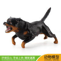 ❤การขายส่งโรงงานอุตสาหกรรม❤เด็กจำลองขนาดใหญ่ Rottweiler รุ่นสุนัข Bully สีดำ STATIC CRAFT เดสก์ท็อปรูปสุนัขของเล่น