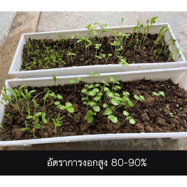 เมล็ดพันธุ์ผัก-บรรจุซองซิป-ซื้อ-10-แถม-1-คละได้-ชุดที่-2