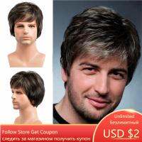 GNIMEGIL Mens Wig Short Hairstyles Synthetic Wig for Man Guy Toupees Mix Brown Silver Grey 10 Male Haircuts Costume Party Wig