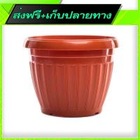 ?จัดส่งฟรี Free Shipping ELIANWARE Plastic Round Flower Pot (19cm x 16cm) Fast shipping from Bangkok