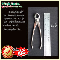 อุปกรณ์บอนไซ คีมท้องเรือปากตรง ขนาด 6.5 นิ้ว ผลิตจากสแตนเลส 165 มม. Branch Cutter Bonsai Tools Concave Cutter Straight Edge Cutter 165 Mm (6.5 )