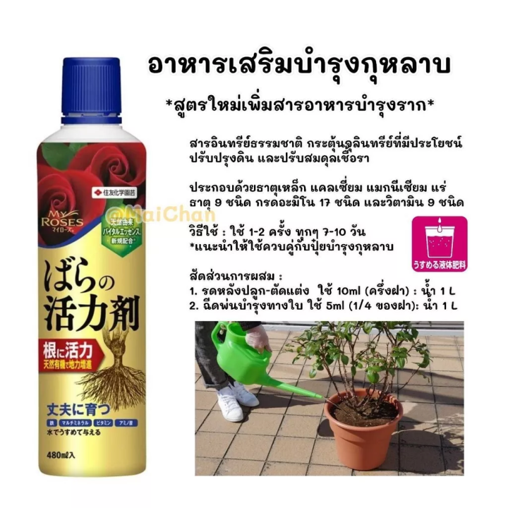 ปุ๋ยน้ำบำรุงรากกุหลาบ-my-rose-ป้องกันโรคและกำจัดศัตรูพืชสำหรับกุหลาบ-จากญี่ปุ่น-benica-my-rose-fertilizer-ปุ๋ยกุหลาบ-480-ml