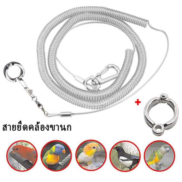 ลดราคา-สายจูง-ห่วงเปิด-ห่วงขานก-ห่วงใส่ขานก-สายคล้องเท้านกแก้ว-สายคล้องนกแก้ว-เชือกนก-3-เมตร