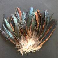 100 Pcs Natural Rooster Pheasant Feathers 13-18 CM Decor for Crafts Party Clothes Sewing HandMade Macrame Creations Craft Plumes