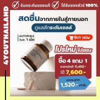 ส่งตรงจากบริษัท!!! AUTOPHILE PLUS BY วิตามิน แอน ทองประสม ออโตฟีล พลัส เพื่อสุขภาพ ข้อ เข่า 1 กระปุก 30 แคปซูล ทานได้นาน 1 เดือน