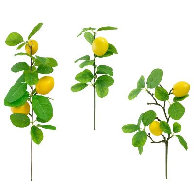 [AYIQ Flower Shop] จำลองกิ่งมะนาวเขียวผลไม้พืชตกแต่งประดิษฐ์ในบ้านเดี่ยวขนาดเล็ก