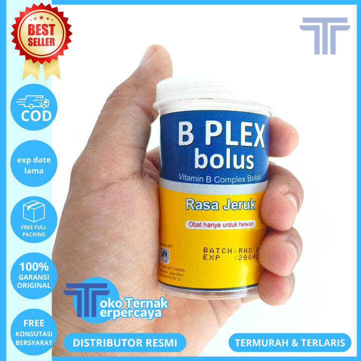 USFA B PLEX BOLUS 1 POT (3 Bolus) - Vitamin B Complex Hewan Bolus ...