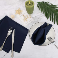 10Pcs Cloth Napkins 11.8*11.8 Inches Polyester Table Napkins Restaurant Dinner Wedding Banquet Decor Supplies Party Decoration