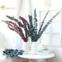 10Pcs Natural Dried Eucalyptus Leaf Large Branch Rich Real Plant Branches Stem Bouquet Material Wedding Arrangement Decoration