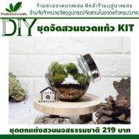 สุดพิเศษ ชุดจัดสวนขวด -KIT  219  มีคู่มือและวีดีสอนจัดตกแต่ง สุดคุ้ม