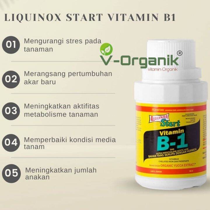 Vitamin B1 Tanaman 100ML Liquinox Original Anti Stres Tanaman | Lazada ...