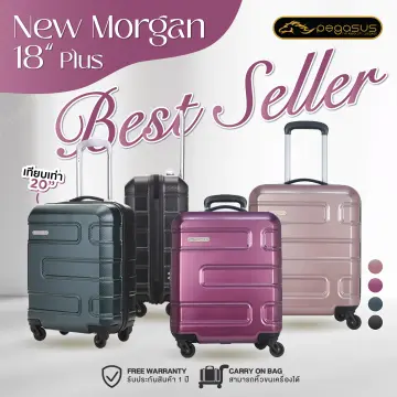 Pegasus luggage online set