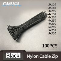 100PCS Self-Locking Plastic Nylon Wire Cable Zip Ties Black Cable WireTies Fasten Loop Cable Various Specifications
