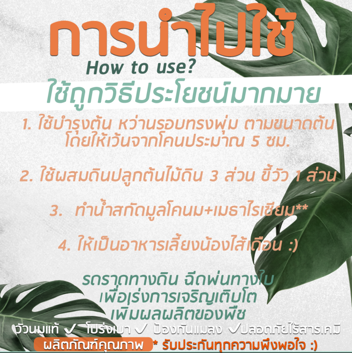 มูลวัวนมบดละเอียด-ผสม-เมธาไรเซียม-ตรามิสเตอร์โฮป-ปุ๋ยคอกเกรด-a-ป้องกันแมลงศัตรูพืช-เร่งโต-high-quality-cow-manure-fertilizer-with-metarhizium