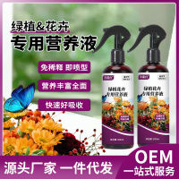 Nine Dragons Terrace Green Plant Flower Nutrition Liquid ปุ๋ยน้ำที่ละลายน้ำได้ทั่วไปปุ๋ยดอกไม้ไฮโดรโพนิกส์พืชฟอร์จูนโรส