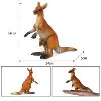 14ซม. ตุ๊กตาจิงโจ้สัตว์ป่าทำจากพีวีซีจำลองโมเดลชุดฟิกเกอร์เพื่อการศึกษาของเล่นหรือเด็ก