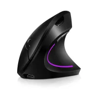 H1 2.4G USB Wireless Adjustable 2400DPI Ergonomic Mute Computer Mouse RGB Streamer Gaming Mouse Vertical Mouse for Office PC