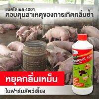 BACTOCEL แบคโตเซล 4001 5 ขวด 1000CC จุลินทรีย์คอกสัตว์ สำหรับฟาร์ม วัว หมู ไก่ แพ้ ม้า ลดแมลงวัน ป้องกันโรคในสัตว์ จุลินทรีย์สัตว์ ป้องกันโรค