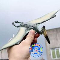 Munich Play - โมเดล ไดโนเสาร์ Pterosaurus เขียว ขนาด 25.00 CM (จากหาดใหญ่)