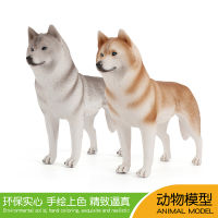 ❤การขายส่งโรงงานอุตสาหกรรม❤ใหม่จำลองสัตว์สุนัข Husky รุ่นไซบีเรียนฮัสกี้สีสร้างสรรค์สัตว์ปีกเครื่องประดับ