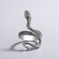 925 Sterling Silver Snake Rings For Women Luxury Designer Jewelry Gift Female News Trends 2023 Offers With Free Shipping Gaabou