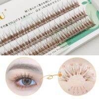 LAKANAKU New Trend Brown Spikes Individual Eyelash Extension Wispy Fairy Eyelashes Extensiones Makeup Cables Converters