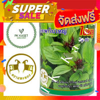 ส่งฟรี เมล็ดโหระพาใบใหญ่ ใบพลู (BI-PU) ตราแพะทอง กระป๋อง ขนาด 50 g โปรโมชั่น เก็บปลายทาง